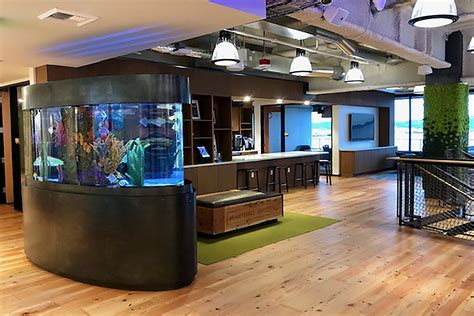 Big Fish Games Jobs and Company Culture .